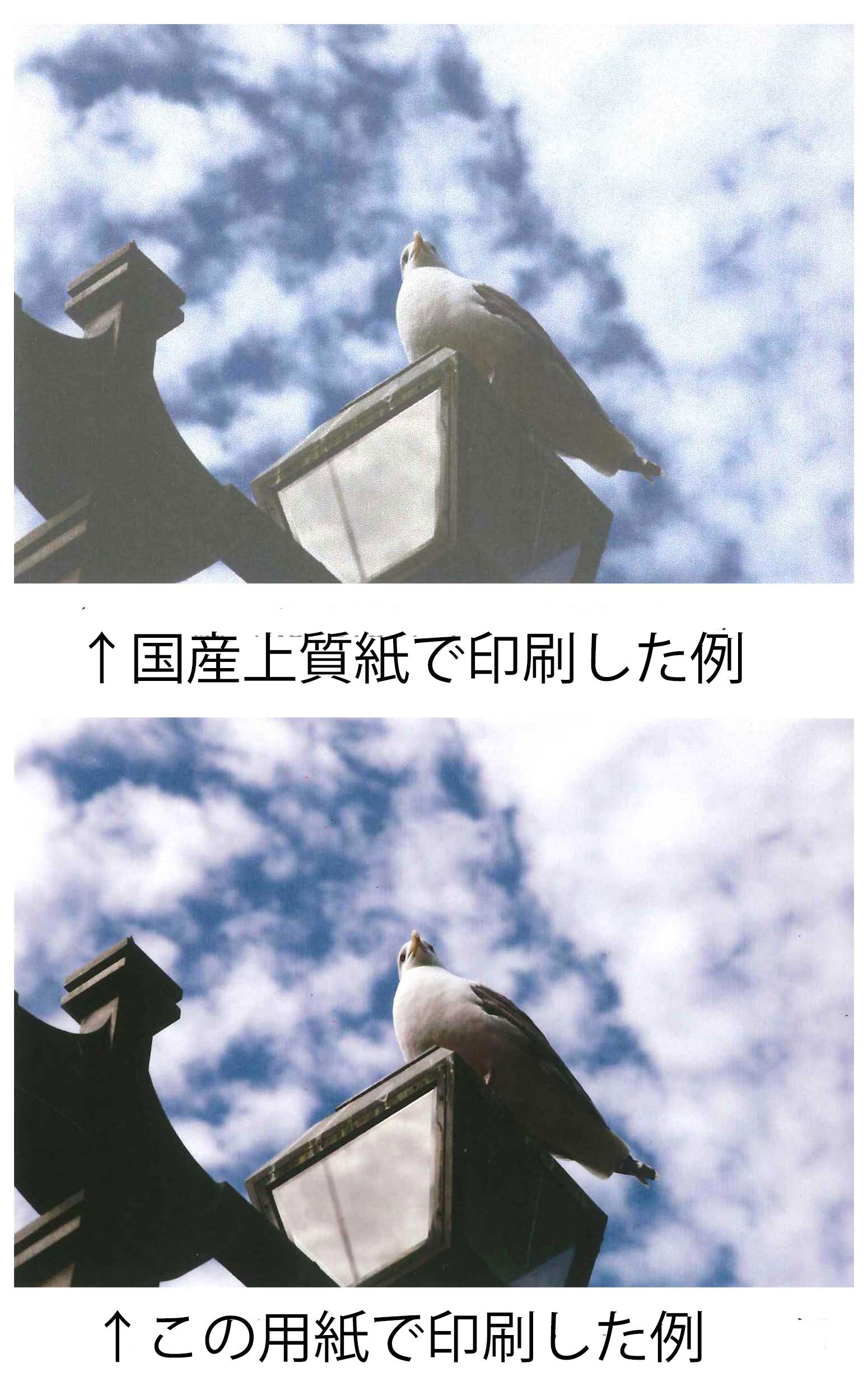 Amazon | No.20-77 往復ハガキ仕両面インクジェット対応 （IJ